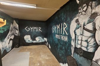 Yritysmuraali Gymirin kuvaustilassa Lahdessa – Seinätaiteilija Jemina.