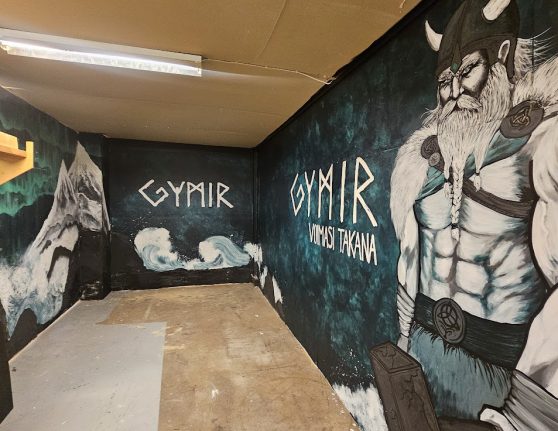 Yritysmuraali Gymirin kuvaustilassa Lahdessa – Seinätaiteilija Jemina.