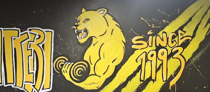 KuntoPantterin yritysmuraali kuntosalilla Heinolassa – Seinätaiteilija Jemina. yritysmuraali-kuntopantteri-kuntosali-heinola